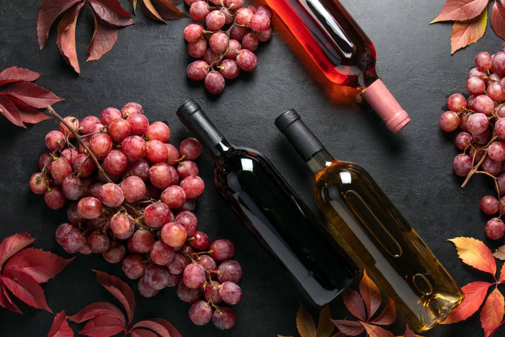 Vins à Auterive